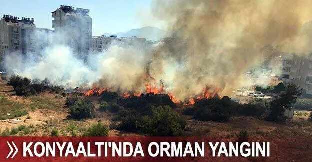 Konyaaltı’nda orman yangını