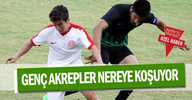 Genç Akrepler nereye koşuyor ?