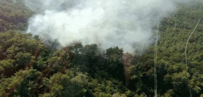 Antalya’da Korkutan Yangın
