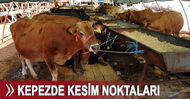 Kepez’de kurban kesim noktaları belirlendi