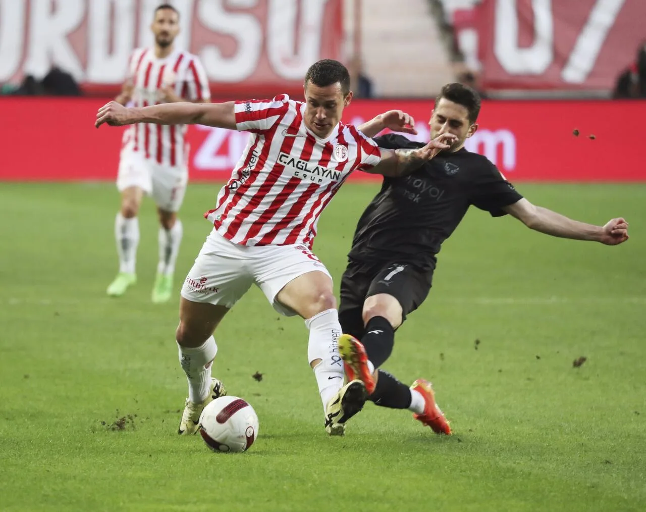 Saric’e milli davet