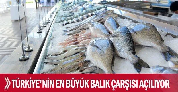 Türkiye’nin en büyük balık çarşısı açılıyor