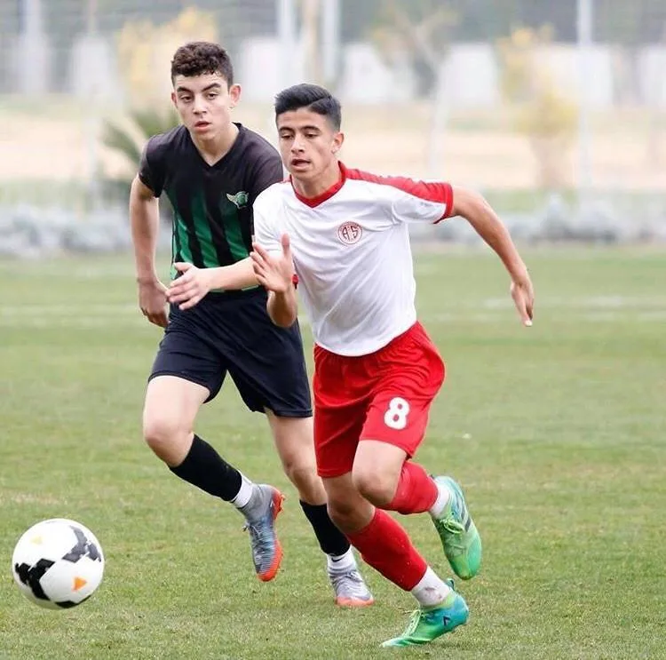 İtalya’da 1 Akrep