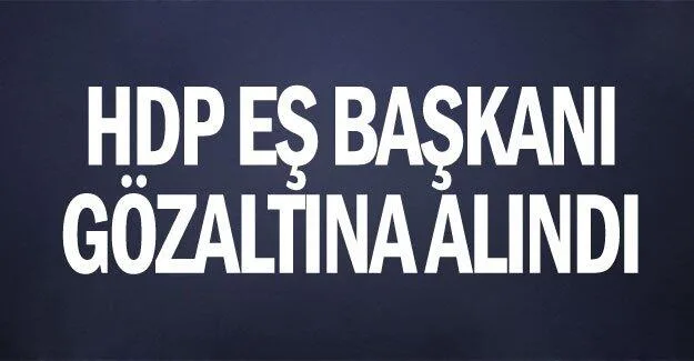 HDP Eş Başkanı gözaltına alındı