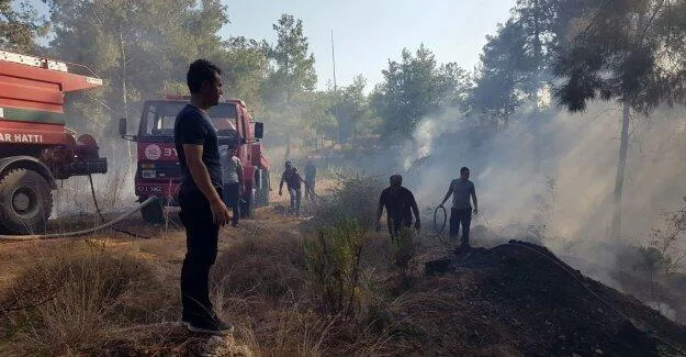 Korkutan orman yangını